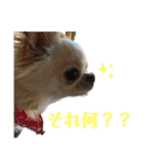 ちょこちぷ（個別スタンプ：2）
