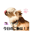 ちょこちぷ（個別スタンプ：4）