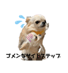 ちょこちぷ（個別スタンプ：12）
