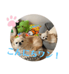 ちょこちぷ（個別スタンプ：22）