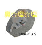 ちょこちぷ（個別スタンプ：29）