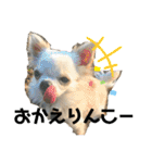 ちょこちぷ（個別スタンプ：31）