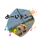 ちょこちぷ（個別スタンプ：32）