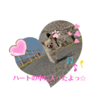 ちょこちぷ（個別スタンプ：34）