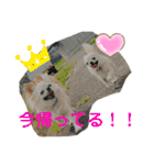 ちょこちぷ（個別スタンプ：35）