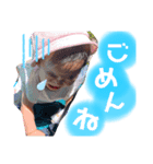 Chiakiスタンプ3（個別スタンプ：2）