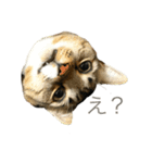 みねそた100%（個別スタンプ：1）