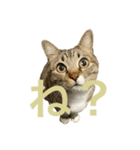 みねそた100%（個別スタンプ：3）