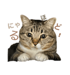 みねそた100%（個別スタンプ：5）