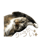 みねそた100%（個別スタンプ：8）