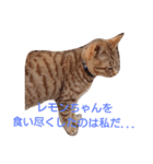 ちょいぽちゃダックス犬ぱーと2（個別スタンプ：15）