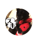 あじ丸スタンプ（個別スタンプ：1）