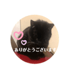 あじ丸スタンプ（個別スタンプ：4）