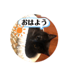 あじ丸スタンプ（個別スタンプ：6）