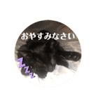 あじ丸スタンプ（個別スタンプ：7）