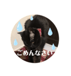 あじ丸スタンプ（個別スタンプ：12）
