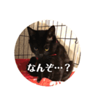 あじ丸スタンプ（個別スタンプ：15）