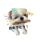 うちのきりたん第三弾（個別スタンプ：8）