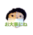 せっと館長の弟子（個別スタンプ：20）