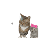 Verucaベルーカソルトよ（個別スタンプ：3）