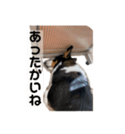 くりすてぃーぬちゃん①（個別スタンプ：7）