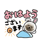 プードルぷうちゃん（個別スタンプ：1）
