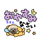 プードルぷうちゃん（個別スタンプ：3）