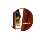 おらんちのくぅちゃん（個別スタンプ：4）