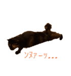 おこげと七味3（個別スタンプ：5）