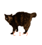おこげと七味3（個別スタンプ：7）