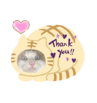cat tanks（個別スタンプ：6）