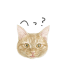 さくらねこのぐりと茶とらのぐら（個別スタンプ：1）
