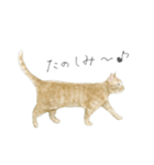 さくらねこのぐりと茶とらのぐら（個別スタンプ：2）