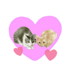さくらねこのぐりと茶とらのぐら（個別スタンプ：4）
