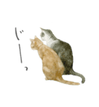 さくらねこのぐりと茶とらのぐら（個別スタンプ：9）