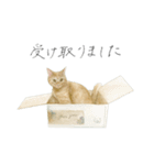 さくらねこのぐりと茶とらのぐら（個別スタンプ：20）