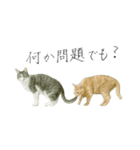 さくらねこのぐりと茶とらのぐら（個別スタンプ：21）