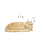 さくらねこのぐりと茶とらのぐら（個別スタンプ：22）