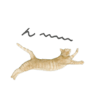 さくらねこのぐりと茶とらのぐら（個別スタンプ：23）