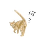 さくらねこのぐりと茶とらのぐら（個別スタンプ：24）