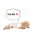 タレ目のテディさん♡2（個別スタンプ：6）