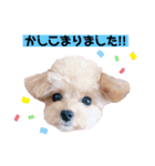 タレ目のテディさん♡2（個別スタンプ：7）