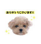 タレ目のテディさん♡2（個別スタンプ：9）