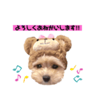 タレ目のテディさん♡2（個別スタンプ：10）