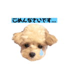 タレ目のテディさん♡2（個別スタンプ：11）