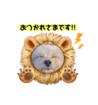 タレ目のテディさん♡2（個別スタンプ：13）