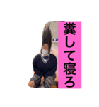 女レスラー（個別スタンプ：7）