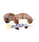 ここたろちゃん  no.1（個別スタンプ：3）