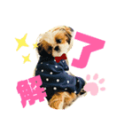 ニコちゃんとくまとぷー（個別スタンプ：3）