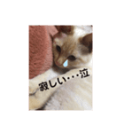 ひな♡かまちょ照（個別スタンプ：1）